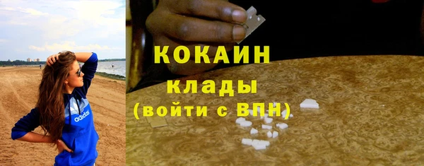хмурый Арсеньев