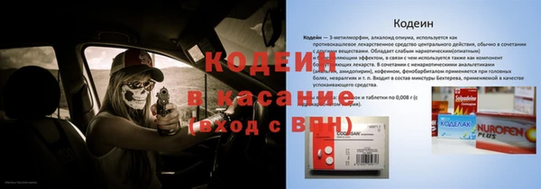 хмурый Арсеньев
