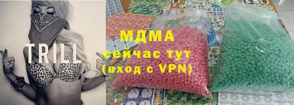 хмурый Арсеньев