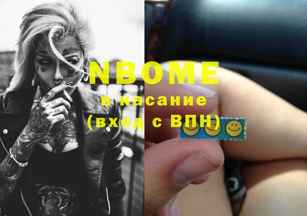 хмурый Арсеньев