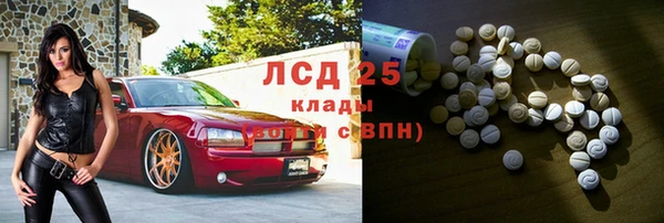 хмурый Арсеньев